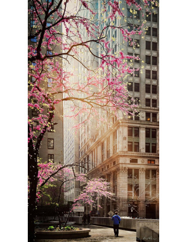 Urban Sakura