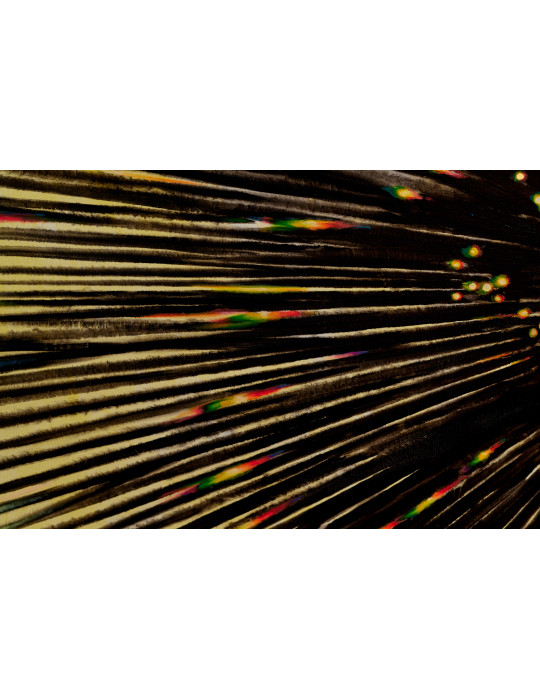 Impulse by Artem Volokitin