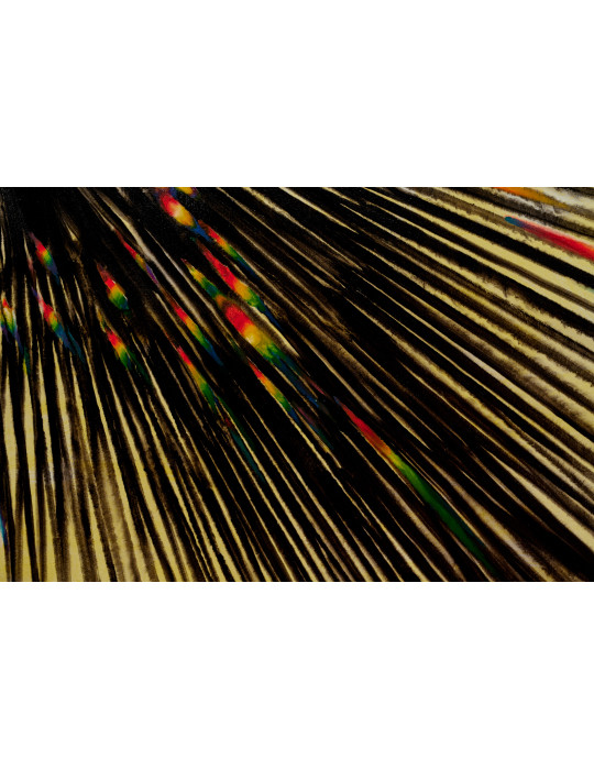 Импульс от Артёма Волокитина