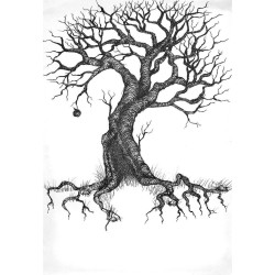 Старе дерево