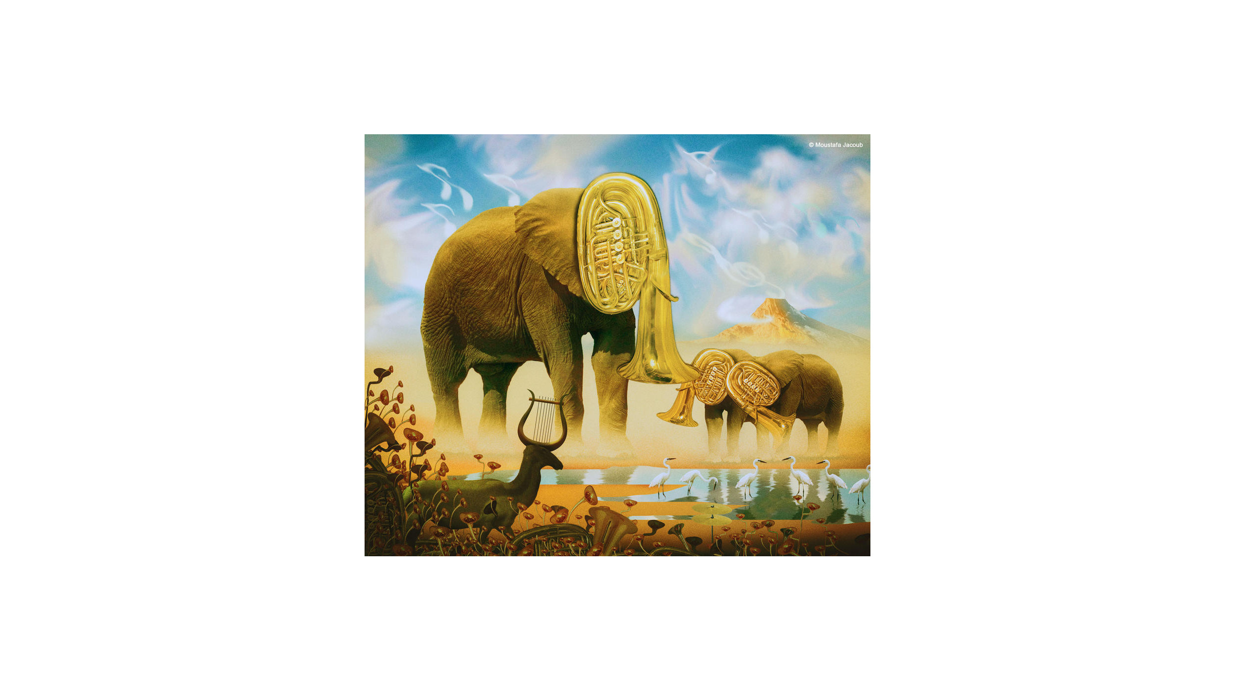 Elephant surrealism