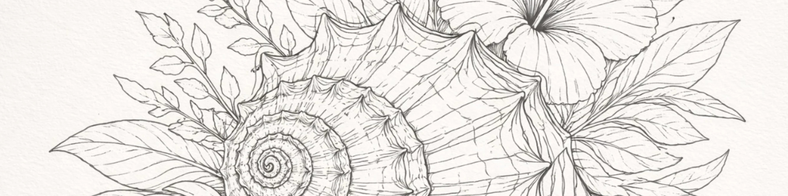 Contour Drawings by MIRONOVA ART — The Art of Pure Line