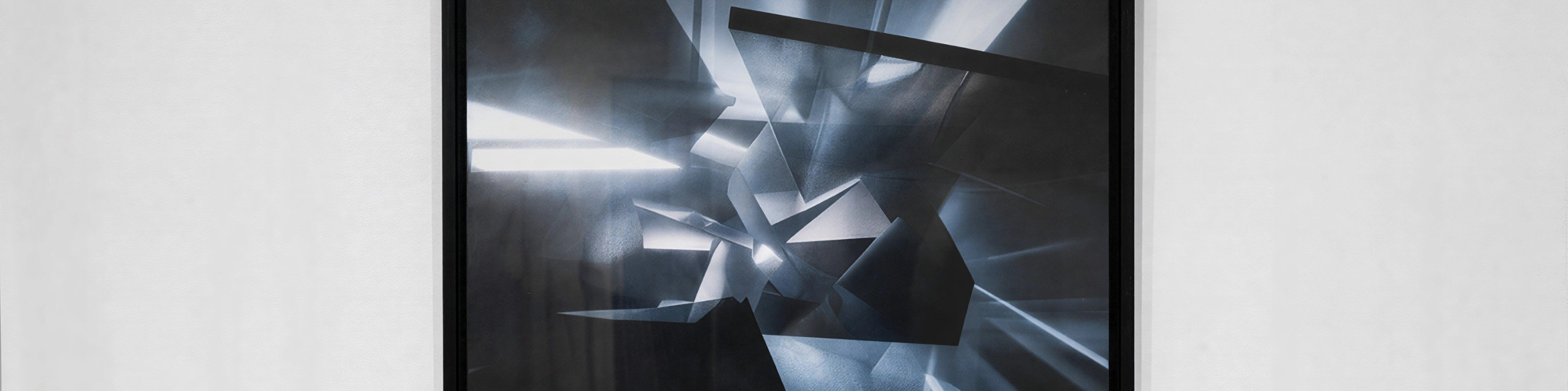 Unique Photography MIRONOVA ART for Bold Interiors