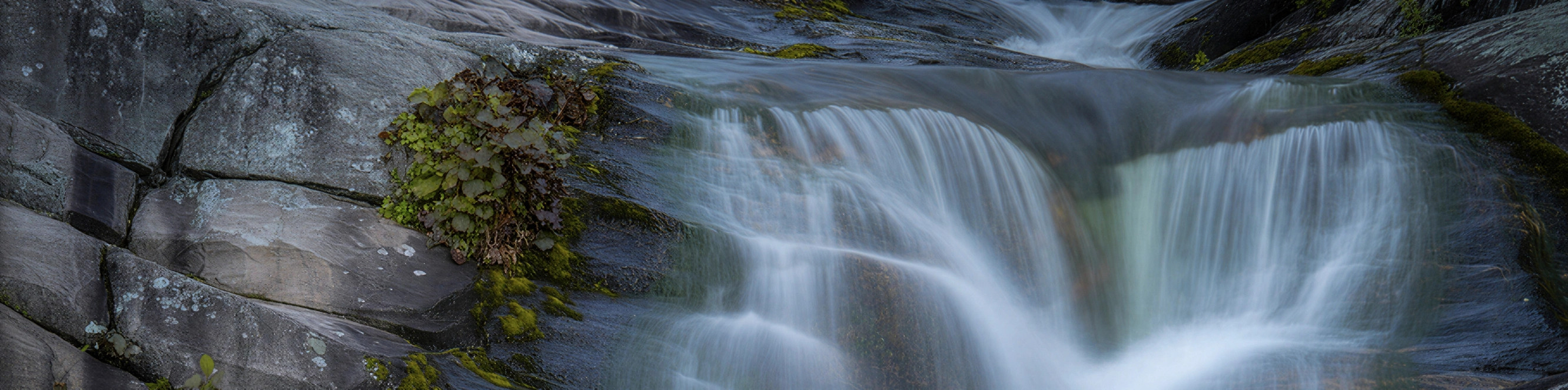 Long Exposure MIRONOVA ART — The Art of Motion and Time
